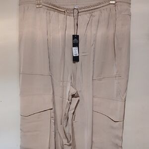 Silky Beige Balloon Pants